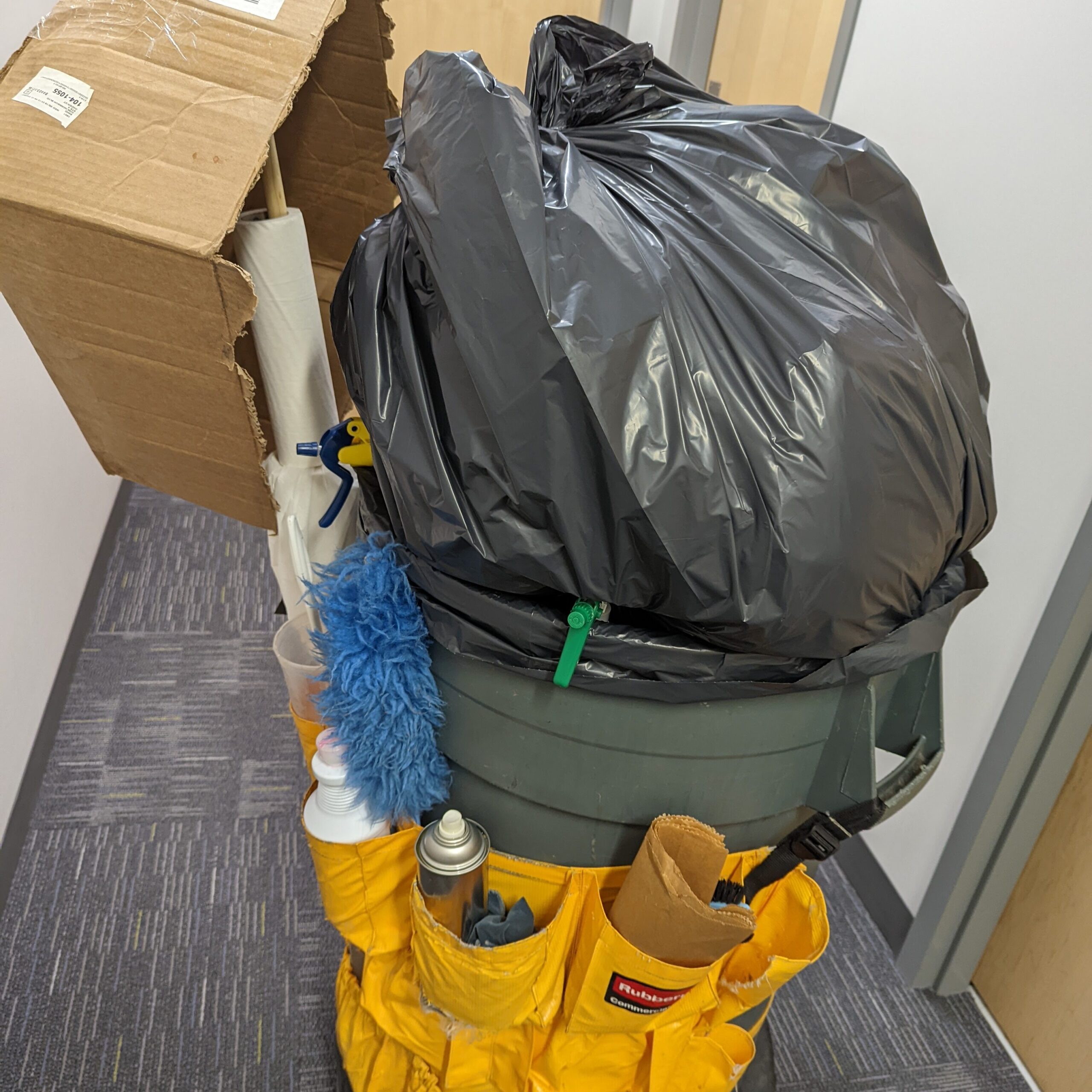 pxl 20211123 003731734 (1)